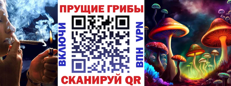 Псилоцибиновые грибы Psilocybine cubensis  Рославль 